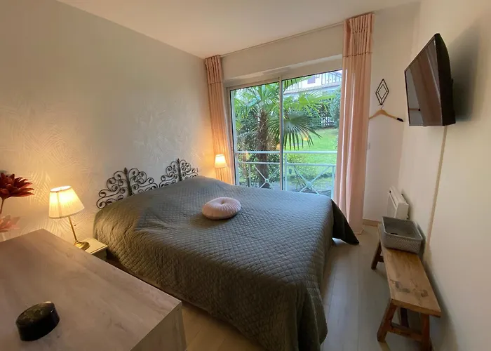 Apartment T2 En Front De A Arcachon, Acces Direct Plage, Parking, Animaux Admis - Fr-1-374-201